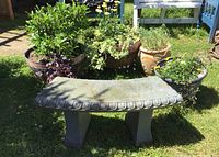 Curved grey stone or concrete garden bench with decorative edge next to five large potted plants, including two terracotta and three plastic pots with various greenery and flowers.