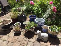 Wide view of many pots on a stone patio including the black pot, blue and white ceramics, and plants