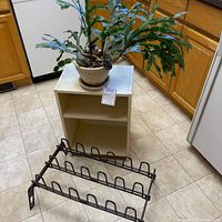Overall view showing the cactus plant in a beige ceramic pot on top of a small white shelf unit with two black metal shoe racks in front.