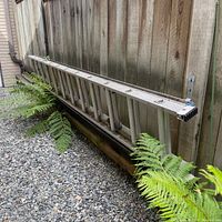 Full length side view of the aluminum extension ladder hanging on a wooden fence outdoors above rocky ground and ferns.