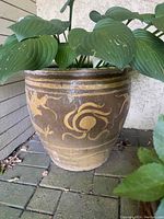Large brown ceramic planter with yellow dragon motifs and live green Hosta plant inside, positioned outdoors on a brick surface next to wall siding.