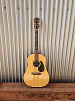 Full front view of guitar showing dreadnought body, spruce top, pickguard, fretboard and headstock