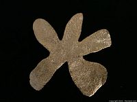 Front view of vintage gold tone brooch with irregular five-lobed shape and textured surface.