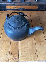 Side view of black cast-iron kettle with lid closed, showing textured surface, coiled wire handle, and long spout