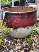 Wide shot of large round planter pot outdoors surrounded by plants. Shows red-white drip glaze finish and overall shape.