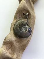 Front side of the fossil pendant showing an iridescent surface fossil ammonite in a silver tone frame and bail hung on a piece of wood.