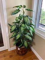 Faux Dieffenbachia plant with green and cream variegated leaves placed in a woven basket near a window and door showing overall appearance and size.