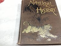 Front cover of the 1890 Natural History book showing embossed tiger and gold lettering