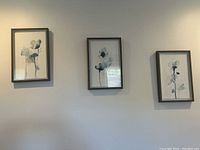 Three framed watercolor flower paintings hanging on a wall in a row