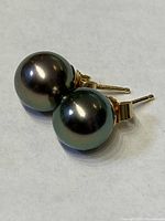 Pair of Tahitian pearl stud earrings on white surface
