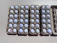 Top view of four trays each holding twelve Callaway golf balls showing wear and dirt marks