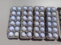 Four dozen Nike golf balls arranged in three open paper trays, showing varying wear and dirt on surfaces.