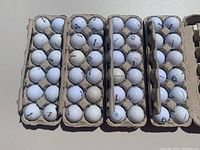 Top view of four cardboard trays each containing a dozen Noodle golf balls with varying wear and dirt levels.