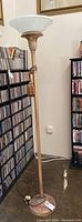Full view of the tall floor lamp with metal base and glass shade standing near shelves of CDs and DVDs.