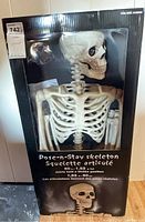 Box front showing Pose-n-Stay skeleton packaging, skeleton visible inside.