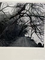 Close-up of the black and white photograph showing the tree-lined carriage road next to the Hudson River.