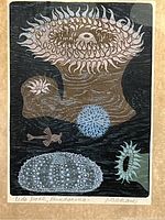 Close-up of the screen print showing stylized tide pool organisms on wood grain textured background