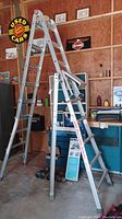 Overall view of ladder in A-frame configuration with work platform installed
