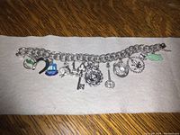 Full charm bracelet laid flat showing all 14 charms attached to linked chain.