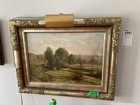 Overall view of the framed painting with attached gallery lamp