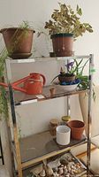 View showing multiple potted plants, watering can, and various pots on a metal three-tier shelving unit.