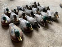 Front and side view of 20 plastic duck decoys arranged in rows on concrete floor. Decoys simulate mallards and other duck species with detailed paint and molded features.