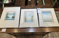 Three framed fine art prints displayed side by side on wooden surface. Each depicts nature scenes with water and trees.