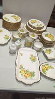 Overall set display showing plates, cups, saucers, serving dishes, and condiment holders