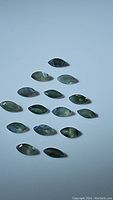 Fifteen marquis cut alexandrite gemstones arranged on a white surface showing their greenish-gray tone under natural light.