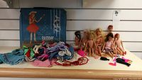 View of all dolls, clothing and accessories with Skipper box in background, showing lot contents and condition.