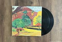 The Rascals Peaceful World vinyl record with illustrated colorful jacket and two black vinyl discs visible.