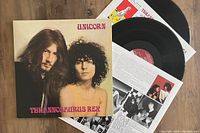 Two vinyl records partially inserted in inner sleeves showing band photos and printed text, and the album jacket with two band members on front cover.