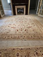 Full view of the area rug in front of fireplace showing overall pattern and size