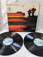 Photo of two vinyl records placed in front of the album sleeve with visible front cover art of 'Steely Dan Greatest Hits'. Records show MCA Records labels.