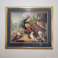 Framed colorful print showing peacock, partridge, and other birds in a naturalistic setting with gilt wood frame and double matting.