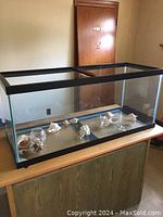 Full view of empty aquarium with black trim resting on wood cabinet, containing sea shells inside.