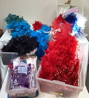 Plastic bins filled with colorful feather boas including red, blue, black, white, and teal, with red sequin fabric pieces also visible.