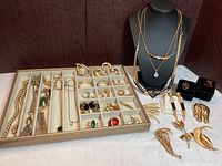 Full display of all jewelry pieces including necklaces on bust, bracelets, rings, pins, earrings laid out in a compartment tray and on surface.