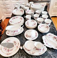 Overview of entire 66-piece set displayed on countertop