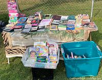 Wide shot showing table with adult books, DVDs, VHS tapes, children's books in a plastic bin, and puzzles stacked on left side