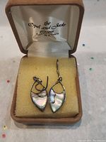 View of earrings in cushioned jewelry box showing metal frame with iridescent inlay