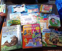 Photo showing an assortment of 13 children's French books arranged on a table, featuring titles such as Le Roi élan, Bricolages animés, Dora, Star Wars Ewoks, and others.