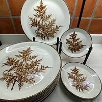 Full view of stacked plates: 12 dinner plates (bottom) and 5 smaller plates (top right) all with cinnamon fern design and speckled edges on cream background.