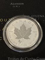 Obverse side of coin showing the maple leaf design with 9999 fine silver markings and Year of the Horse privy mark.
