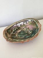 Side angle showing the concave inner surface of the abalone shell with iridescent colors and some discoloration.