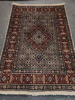 Full view of rug showing central medallion, border and fringe