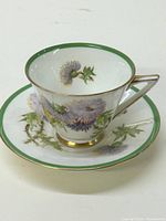 Side angled view of Royal Doulton tea cup and saucer showcasing green rim, gold accents, and detailed thistle floral design.