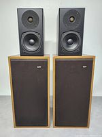 Front view of both vintage speakers with black front panels, visible woofers and tweeters, TOTEM on left and B&W on right.