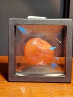 Polished carnelian stone visible inside square black frame display case with transparent sides showing reddish-orange color and natural inclusions.