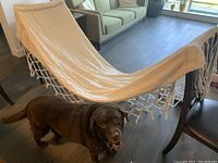 Photo of cream-colored hammock with decorative fringe supported indoors, with a brown dog nearby.